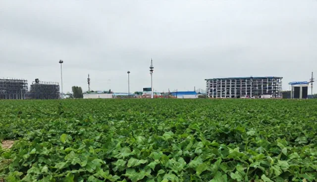 行业分类信息应用中的理解偏差问题分析